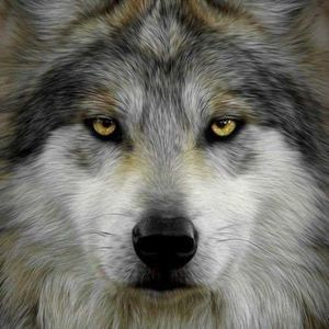 Meet your Posher, Richard